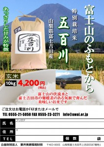 H29富士吉田五百川10kg玄米