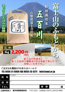 H29富士吉田五百川5kg玄米