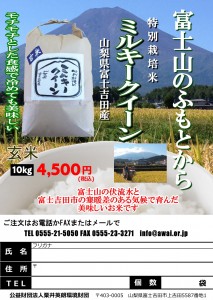 H29富士吉田ミルキークイーン10kg玄米