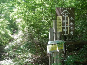DSCN8262