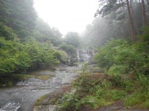 DSCN8287