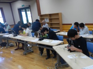 DSCN8394-2