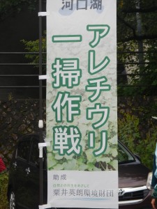 DSCN8445